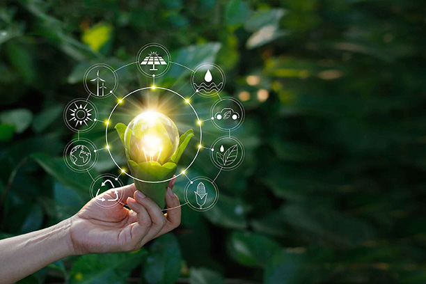 Экология: инновации находят место под солнцем