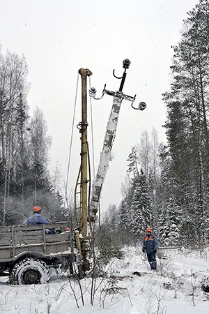 Стихии бояться – в лес не ходить