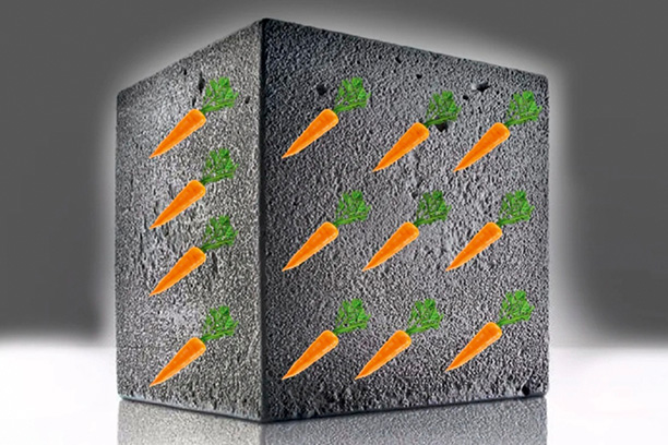 Электрогенераторы из моркови и свеклы