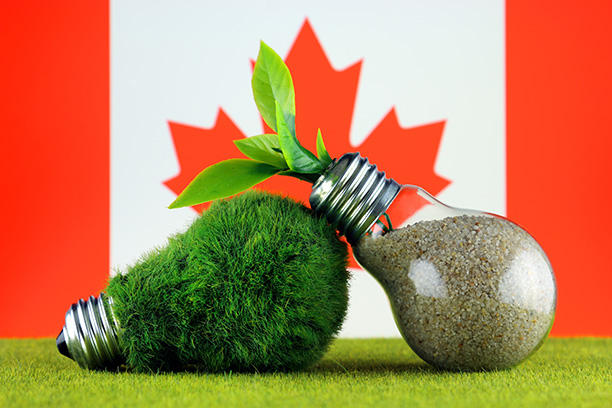 КАНАДА: Только чистое производство