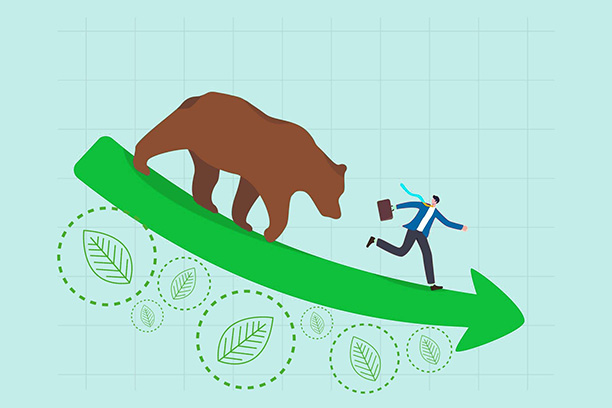 Как удешевить углеродный след в России?