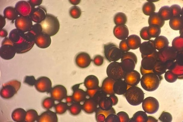 АО «ВТИ» актуализирует стандарт по применению ионитов на ТЭС