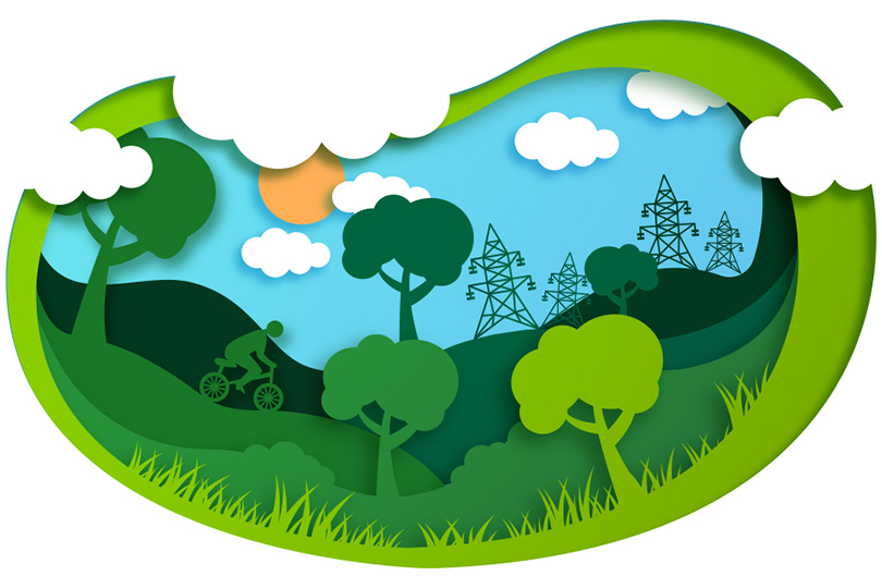 Сетевой компании не дали углубиться в лес