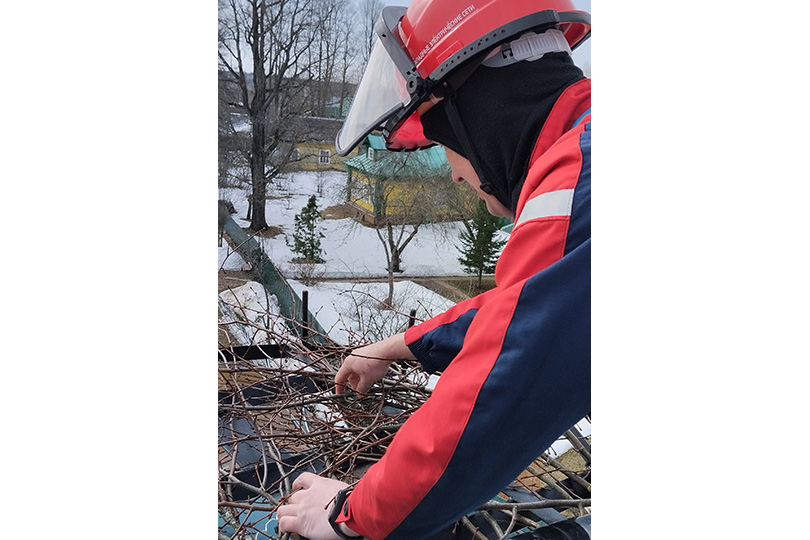 Энергетики занимаются установкой птицезащитных устройств