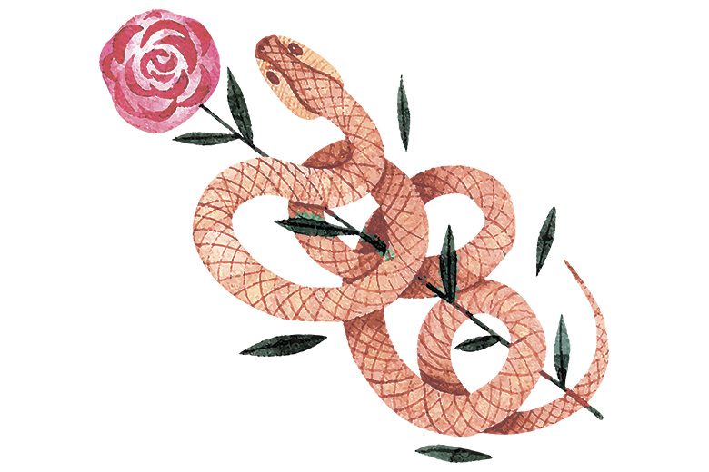 Каким будет новый, 2025 год для всех знаков зодиака