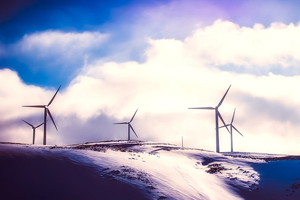 Алло, ищем российские стартапы