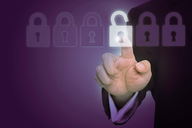 Безопасность и удобство для бизнеса: новые сервисы Компании ТрансТелеКом