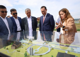 Госсовет: крупные объекты генерации нужно включать в ТОР