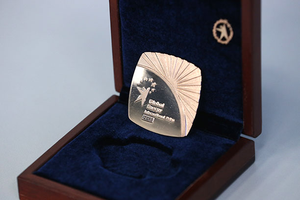 «Глобальная энергия-2018»: премию разделили ученые из России и Австралии