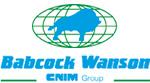 Паровые и водогрейные котлы BABCOCK WANSON