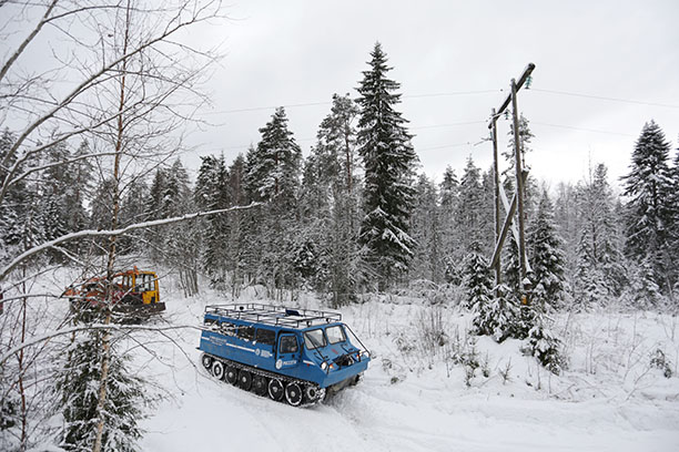 МРСК Северо-Запада проводит масштабные работы по расширению просек в Карелии