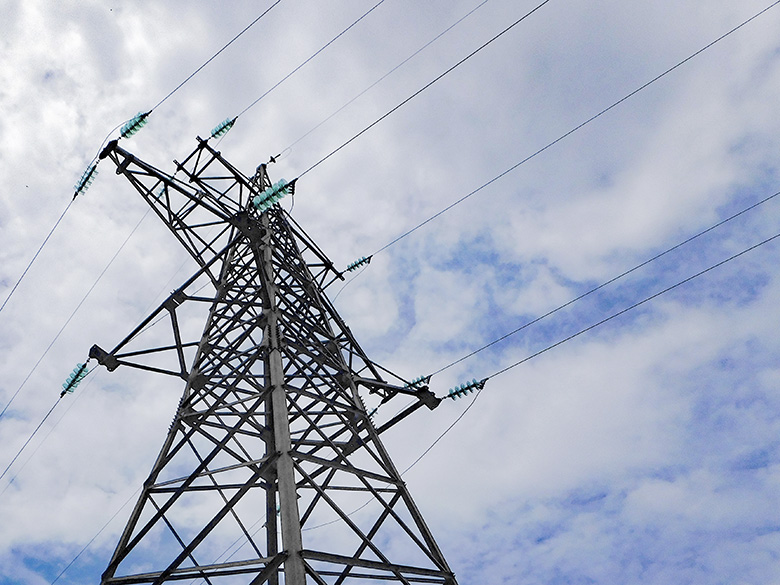 В помощь тульским фармацевтам