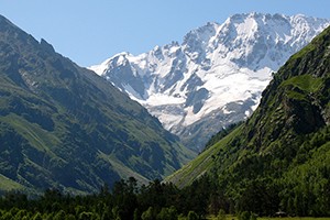 Пополнение для Юга