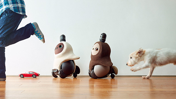 Любимец семьи: кошка, собака, робот?