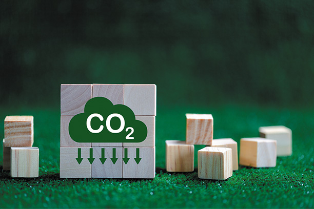 Мир движется к углеродной нейтральности  