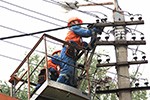 Энергетики МРСК Северо-Запада разворачивают ремонтные работы