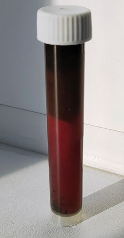 Бионефть из&nbsp;биомассы