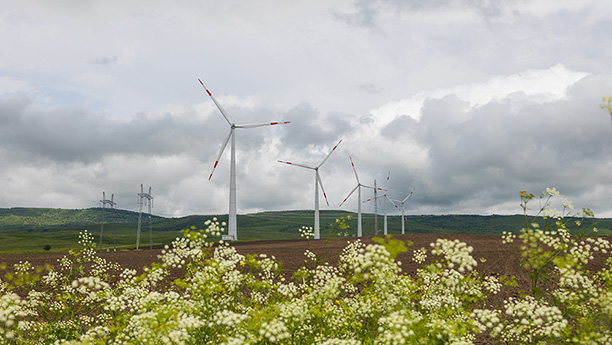 Кузьминская ВЭС. Фото: «Страна Росатом»
