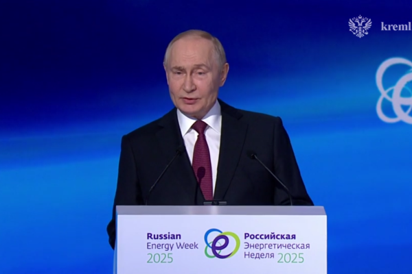 Владимир Путин распорядился передать «Россетям» акции четырёх сетевых компаний