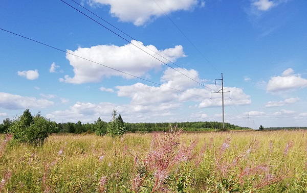 Эталоны для ТСО: эксперты показали минусы новой методики