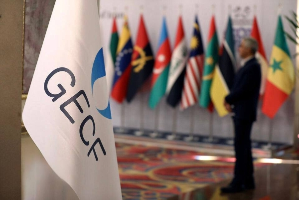 Минэнерго РФ начало подготовку к 8‑му саммиту ФСЭГ в Москве